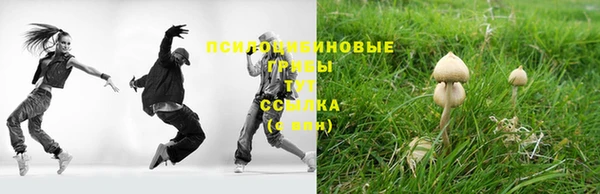 винт Карпинск