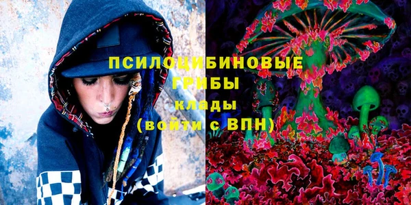 амф Касимов